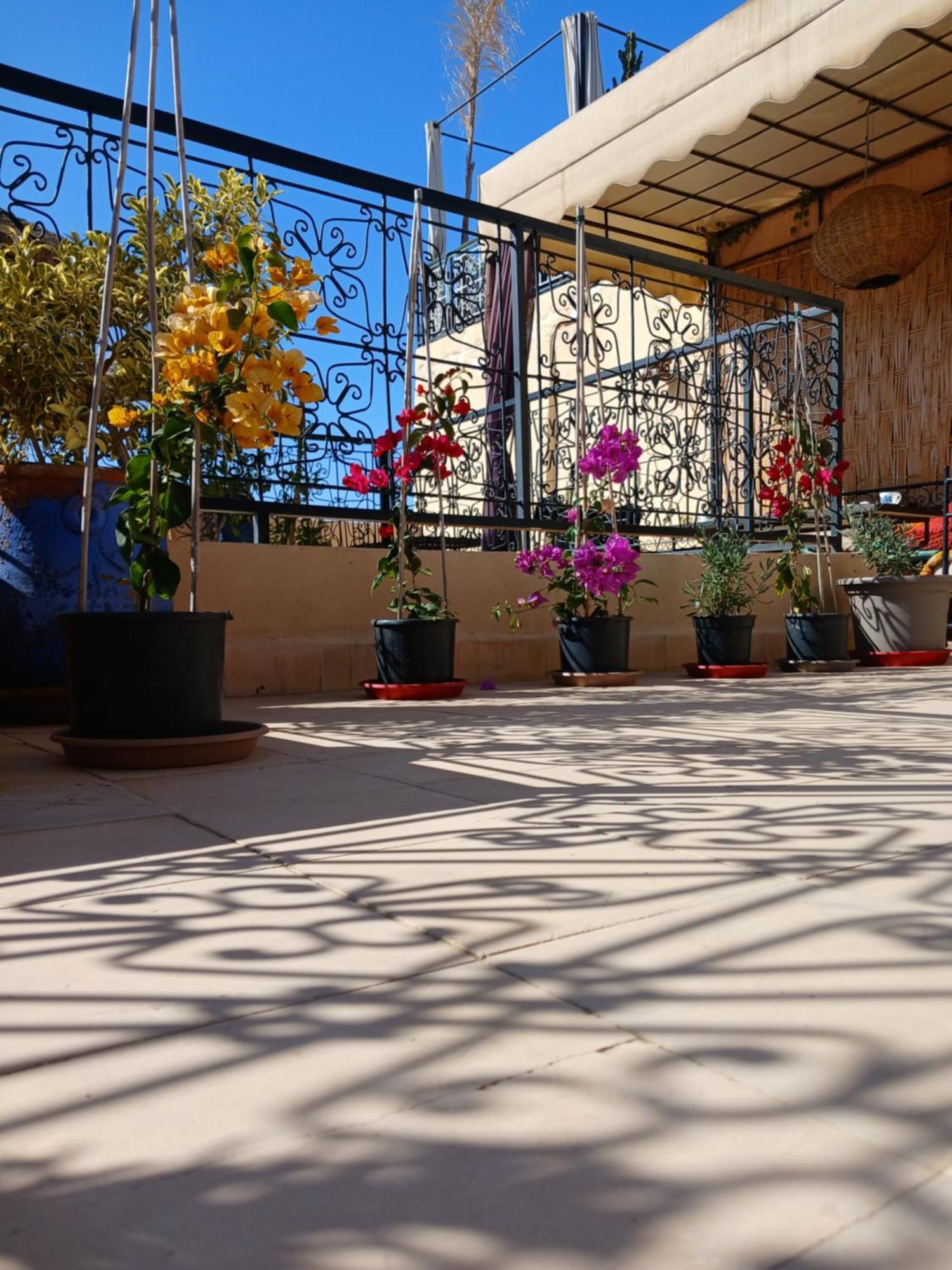 Riad Dantella Marrakesh Extérieur photo